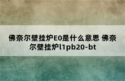 佛奈尔壁挂炉E0是什么意思 佛奈尔壁挂炉l1pb20-bt